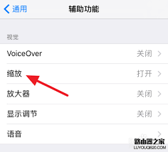 惊了！iPhone放大镜竟能这样轻松关闭？速看！
