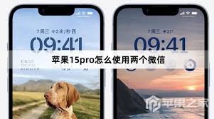 惊爆！苹果 15 竟能如此轻松开两个微信，速来围观！