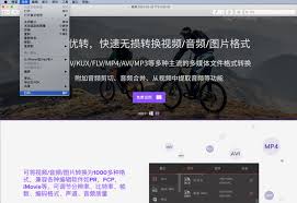 惊爆！苹果8竟能如此轻松将网页瞬间变身PDF格式，操作步骤大！
