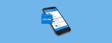 能否删除改进LOST.DIR以突出文章核心要点