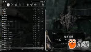 上古卷轴5熊皮代码大，你知道吗？