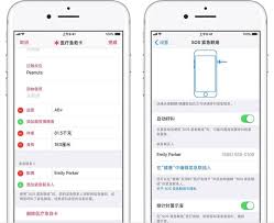 iPhone紧急呼叫：改进用法与核心要点全解析