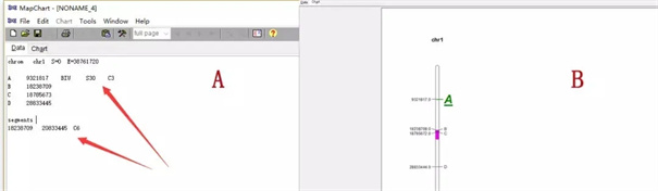 MapChart中文版下载v5.4.6