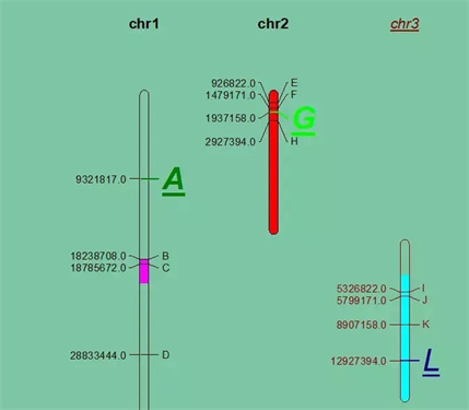 MapChart中文版下载v5.4.6