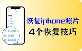苹果12如何查看近期清除的照片