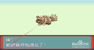 震惊！口袋妖怪复刻蛇纹熊全解析：属性技能大，图鉴在手轻松抓宠！