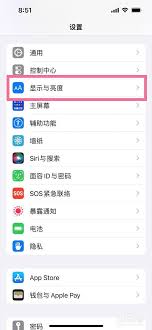 惊爆！苹果 13 放大布局究竟藏在哪设置？速来一探究竟！
