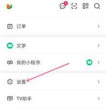 惊爆！爱奇艺视频去水印超神秘籍大公开，让你畅享无水印视听盛宴！