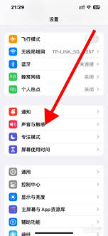 原来苹果关闭电话按键音的方法