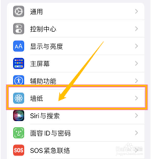 轻松掌握！改进iPhone动态壁纸凸显核心要点的方法