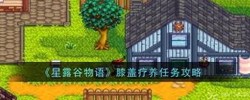震惊！星露谷物语膝盖疗养任务背后竟藏如此秘密，速来一探究竟！