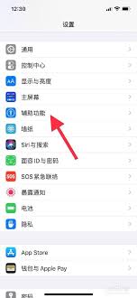 苹果15如何设置home键