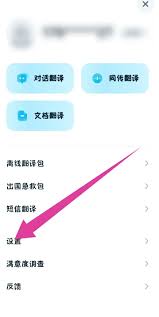 有道翻译官取消快速翻译流程全解
