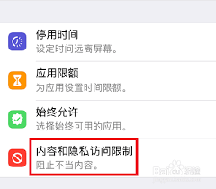苹果个别软件隐藏方法及隐私访问限制设置全攻略