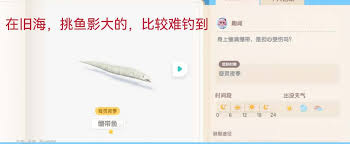心动小镇潮流季：奇灵夜绷带鱼获取方法大