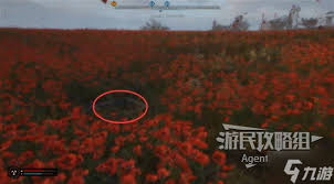 惊爆！潜行者2罂粟田支线任务全攻略大，带你踏入神秘未知之旅