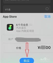 汽水音乐开通汽水会员方法全解析