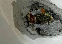 天花板鼓包原因大