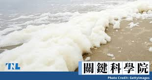 海浪缘何化作泡沫：核心要点大
