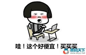 电脑主机组装好还是买整机好，深度剖析与选购指南
