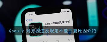 Soul对方为何无法和你对话