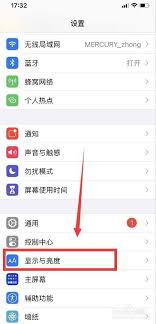苹果手机如何加粗字体
