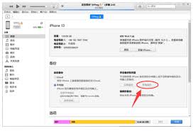 惊了！iPhone语音备忘录竟离奇消失，背后真相究竟如何？