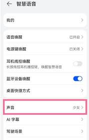 原来的华为手机如何更改小艺声音