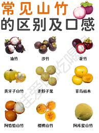 探秘山竹：这些鲜为人知的别称，你知道几个？