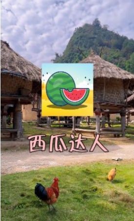 西瓜达人安卓版